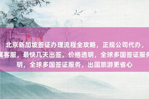 北京新加坡签证办理流程全攻略，正规公司代办，华网旅行社提供专属客服，最快几天出签，价格透明，全球多国签证服务，出国旅游更省心